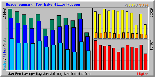 Usage summary for bakertillyjfc.com